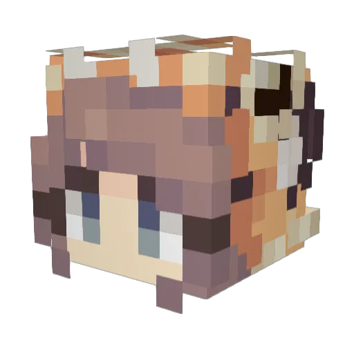 inawa Minecraft avatar head, 3D render