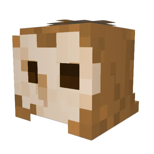 incayn Minecraft avatar head, 3D render