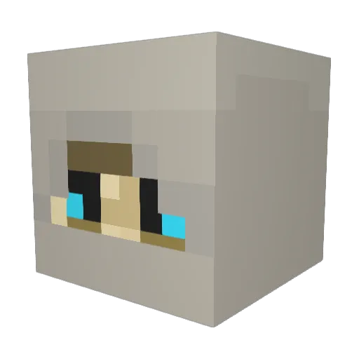inciopath Minecraft avatar head, 3D render