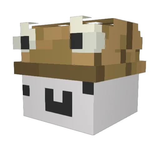 incogniko__ Minecraft avatar head, 3D render