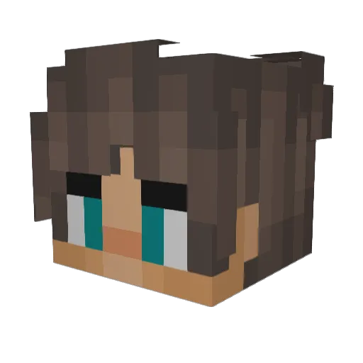 incorrecte Minecraft avatar head, 3D render