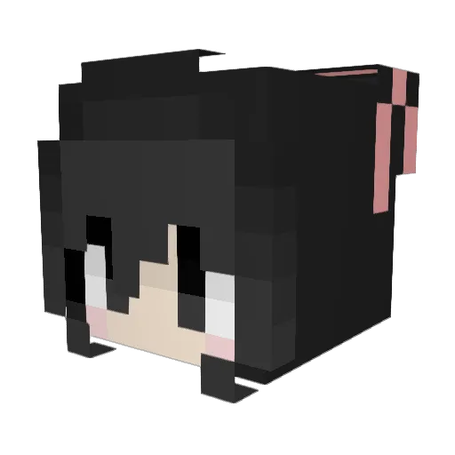 indaaparty Minecraft avatar head, 3D render