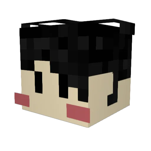 indianteksupport Minecraft avatar head, 3D render
