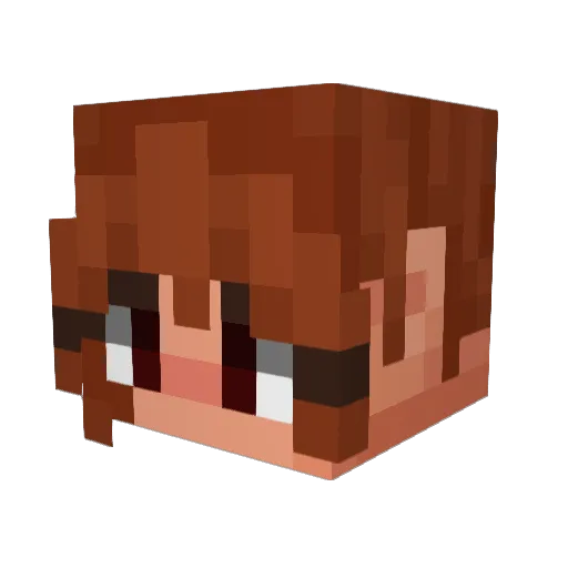 indighostttt Minecraft avatar head, 3D render