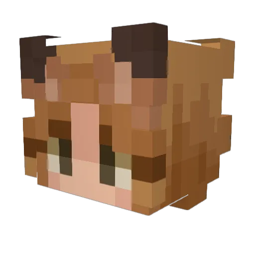 indigo_vertigo Minecraft avatar head, 3D render