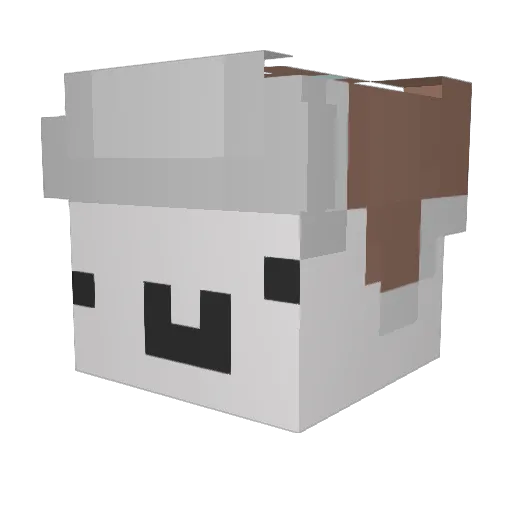 indirim Minecraft avatar head, 3D render