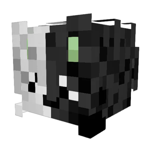 individualize Minecraft avatar head, 3D render