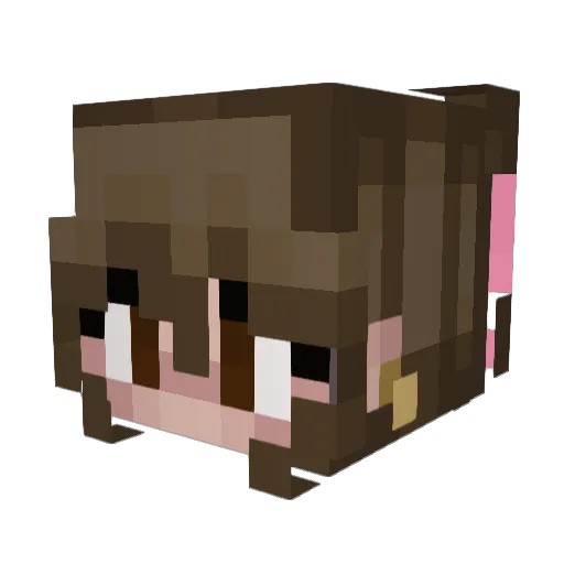indubitablyru Minecraft avatar head, 3D render