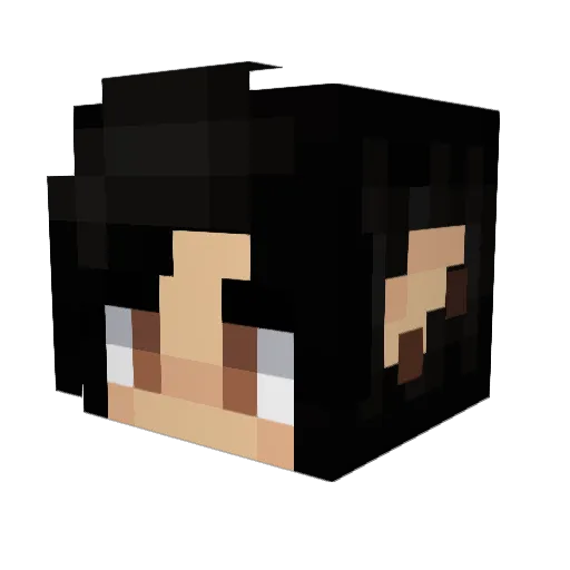 induubitable Minecraft avatar head, 3D render