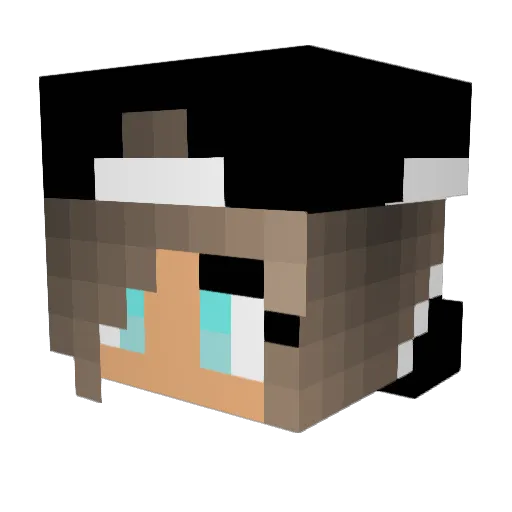 indy2004 Minecraft avatar head, 3D render