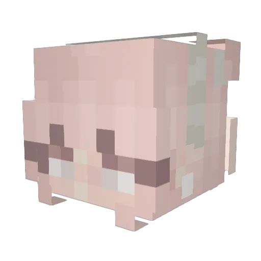 indysunset Minecraft avatar head, 3D render