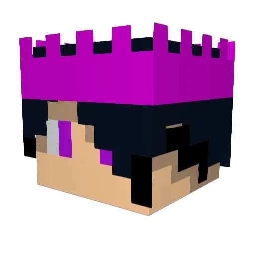 infection12 Minecraft avatar head, 3D render