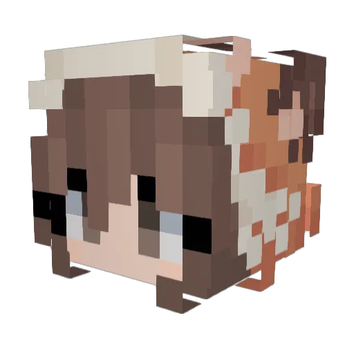 infernovei1 Minecraft avatar head, 3D render