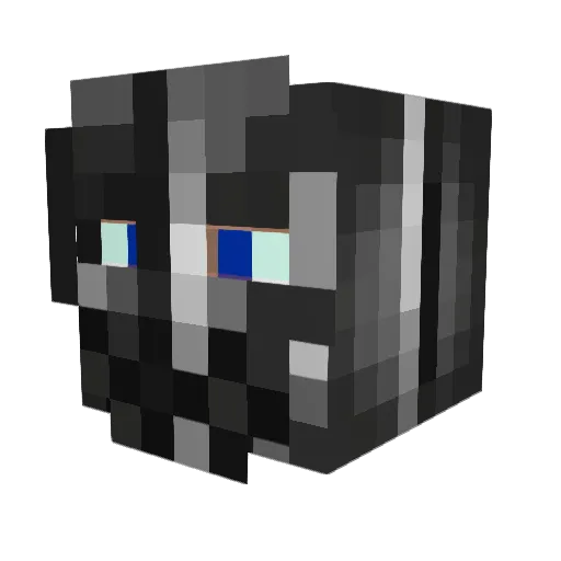 infinitDiamond Minecraft avatar head, 3D render