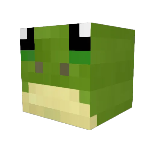 infinitesimol Minecraft avatar head, 3D render