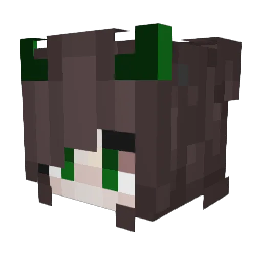 infinity_td Minecraft avatar head, 3D render