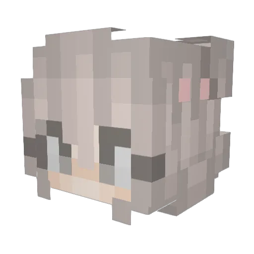 infiresmanh Minecraft avatar head, 3D render