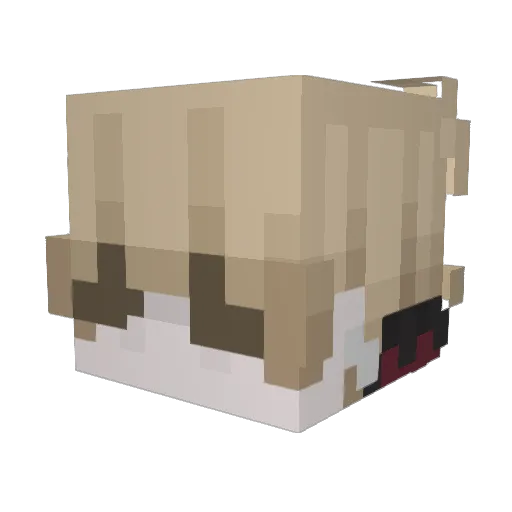 inflammetur Minecraft avatar head, 3D render