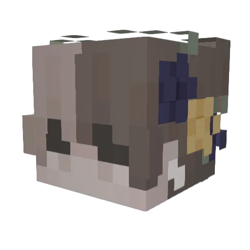 infnty_ Minecraft avatar head, 3D render