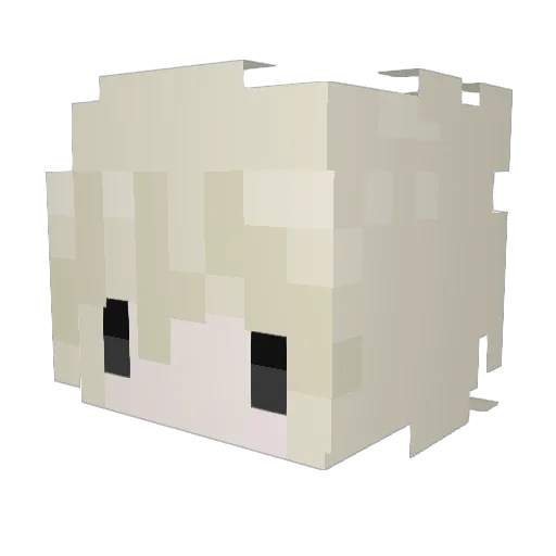 inforget Minecraft avatar head, 3D render