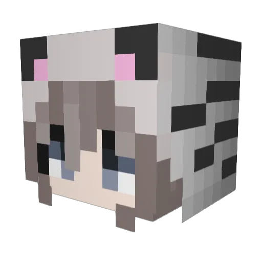 informator Minecraft avatar head, 3D render