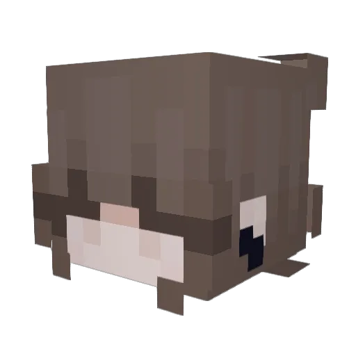 inhospitality Minecraft avatar head, 3D render