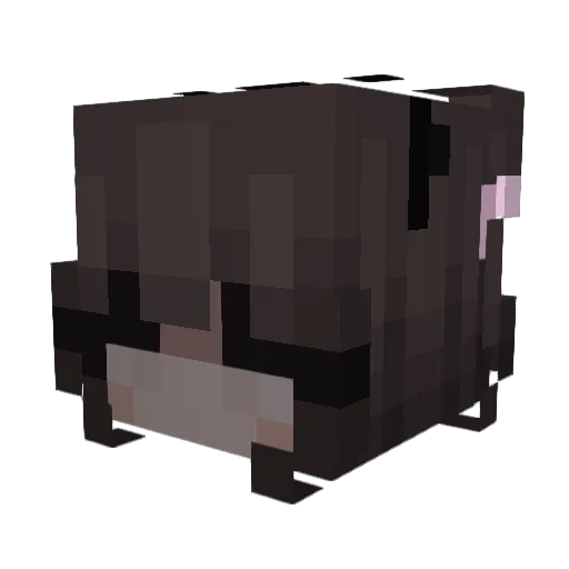 ini1234 Minecraft avatar head, 3D render