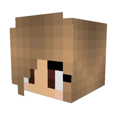 inifn Minecraft avatar head, 3D render