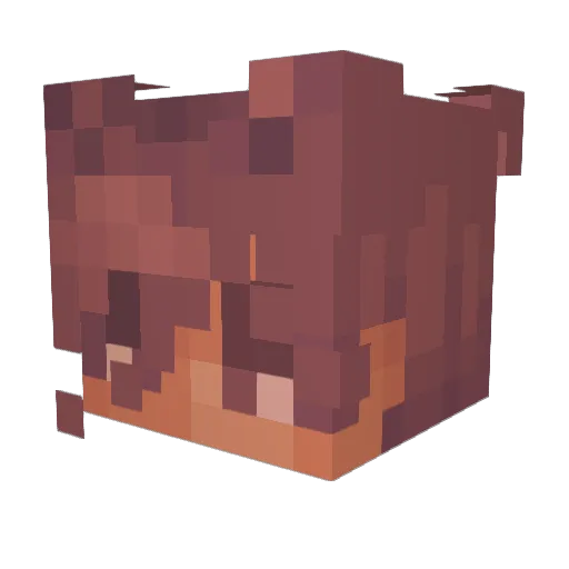init_1 Minecraft avatar head, 3D render