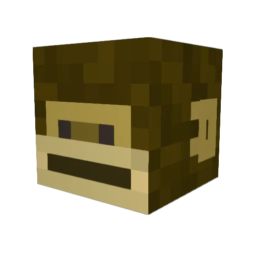 initmate Minecraft avatar head, 3D render