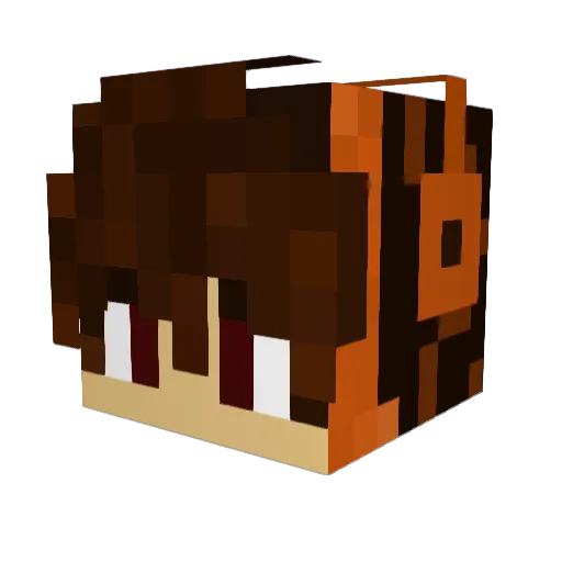 injaminer Minecraft avatar head, 3D render