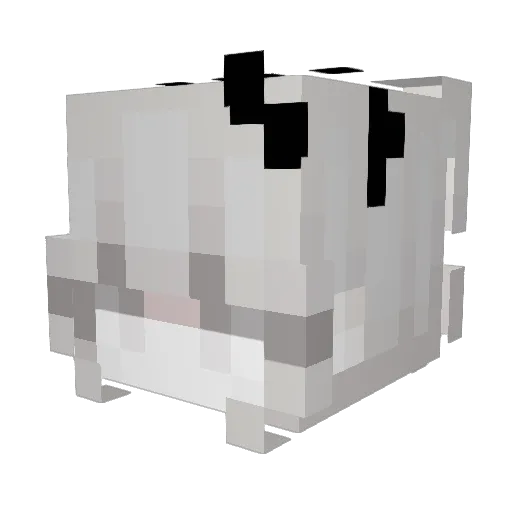 injectbela Minecraft avatar head, 3D render