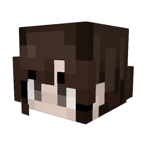 injeolmis Minecraft avatar head, 3D render