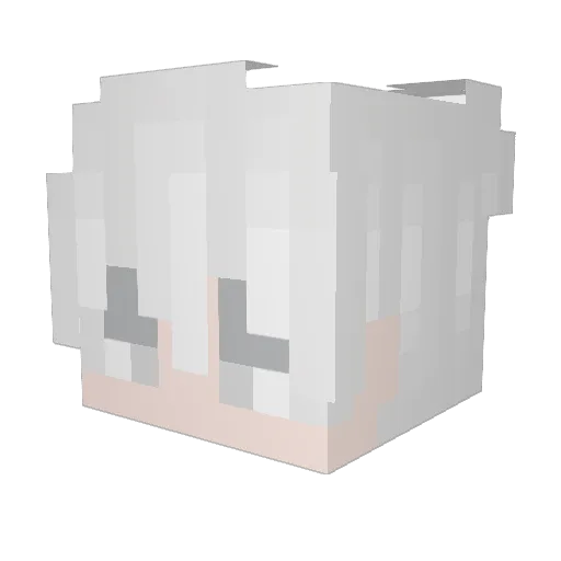 injetando Minecraft avatar head, 3D render