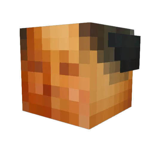 injuredbun Minecraft avatar head, 3D render
