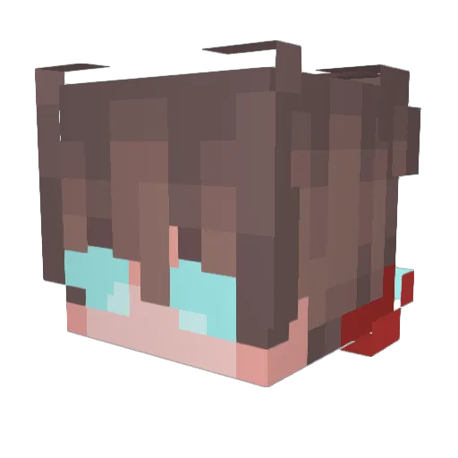inkling9514 Minecraft avatar head, 3D render