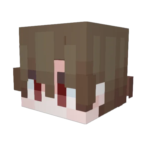 inlog Minecraft avatar head, 3D render