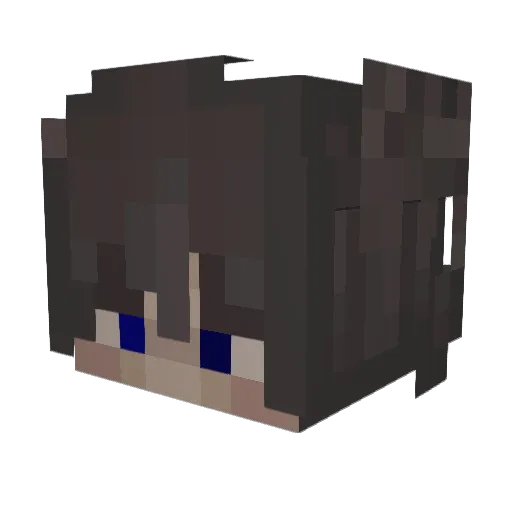 inrestii Minecraft avatar head, 3D render