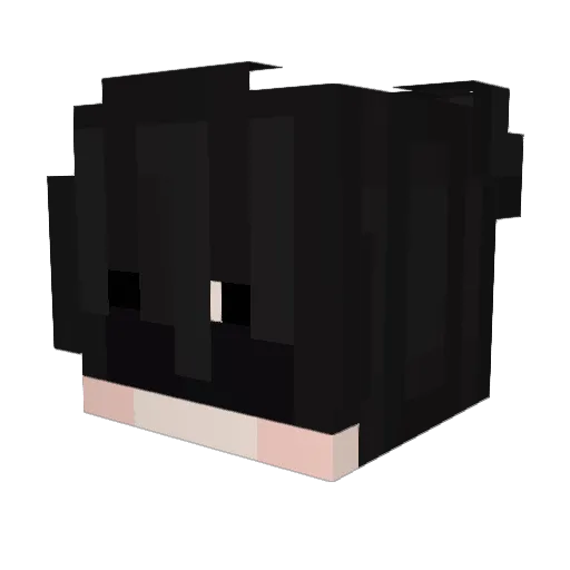 insaatci Minecraft avatar head, 3D render
