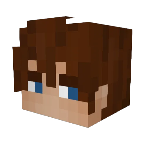 insane_on Minecraft avatar head, 3D render