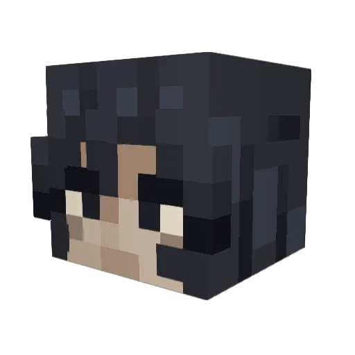 insanity10110 Minecraft avatar head, 3D render