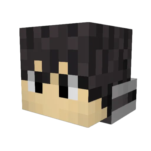 insanoodr Minecraft avatar head, 3D render