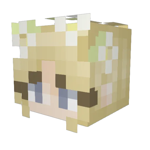 insawebs Minecraft avatar head, 3D render