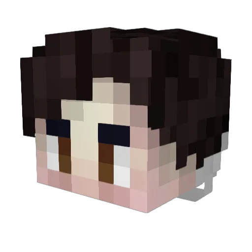 insellium Minecraft avatar head, 3D render