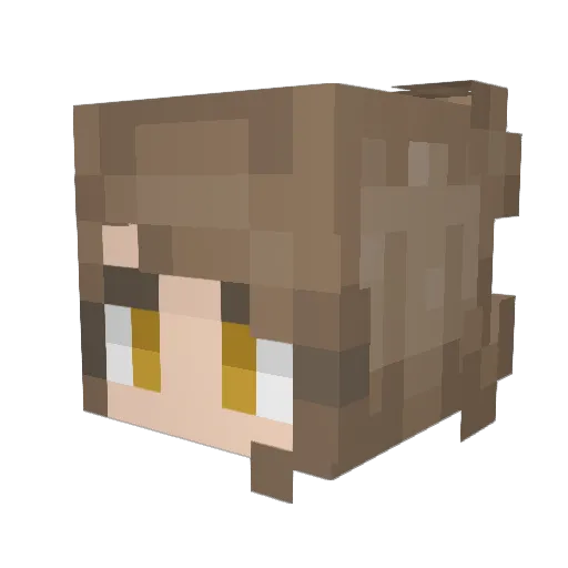 insertjokehere6 Minecraft avatar head, 3D render