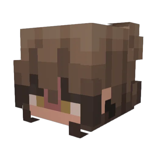 insgtr Minecraft avatar head, 3D render