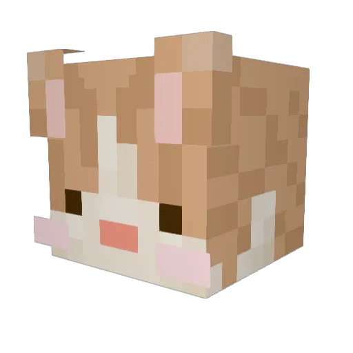 insk123 Minecraft avatar head, 3D render
