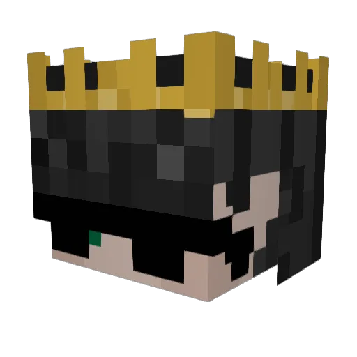 insomni_Frog Minecraft avatar head, 3D render