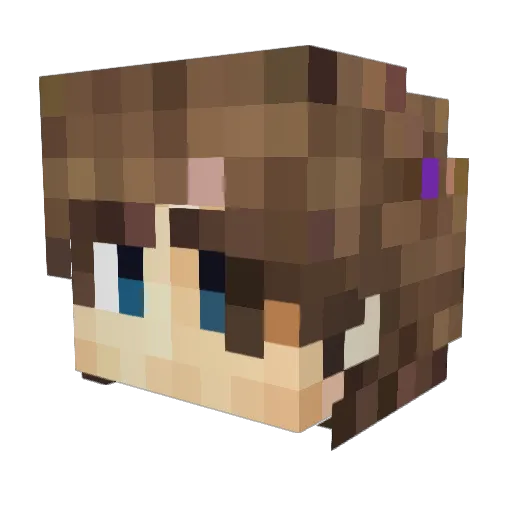 insomniac_echo Minecraft avatar head, 3D render