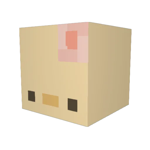 insomniacknights Minecraft avatar head, 3D render